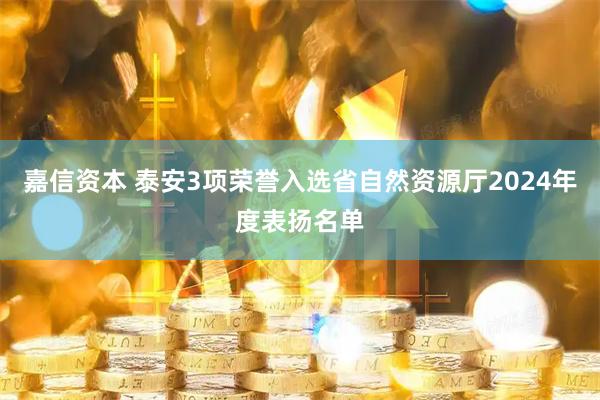 嘉信资本 泰安3项荣誉入选省自然资源厅2024年度表扬名单