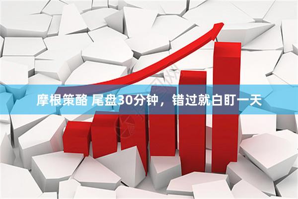 摩根策酪 尾盘30分钟，错过就白盯一天