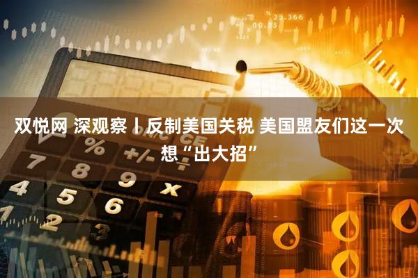 双悦网 深观察丨反制美国关税 美国盟友们这一次想“出大招”