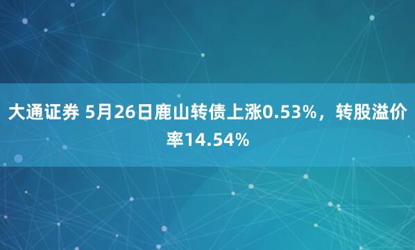 大通证券 5月26日鹿山转债上涨0.53%，转股溢价率14.54%