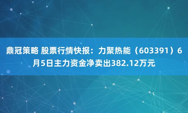 鼎冠策略 股票行情快报：力聚热能（603391）6月5日主力资金净卖出382.12万元