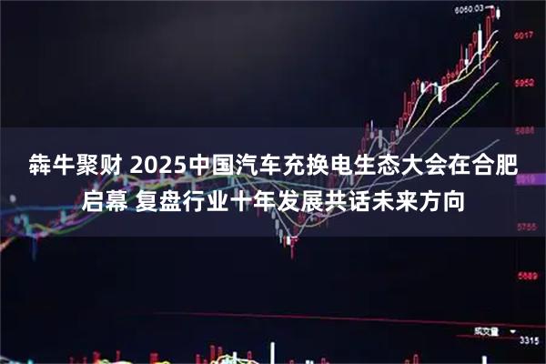 犇牛聚财 2025中国汽车充换电生态大会在合肥启幕 复盘行业十年发展共话未来方向