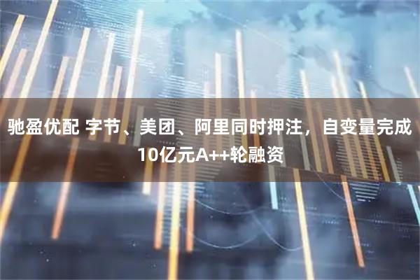 驰盈优配 字节、美团、阿里同时押注，自变量完成10亿元A++轮融资