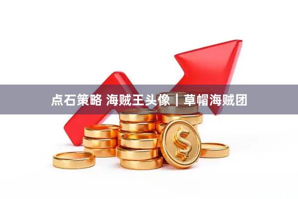 点石策略 海贼王头像｜草帽海贼团